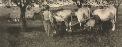 Kameramunka: Szántócsapat alkotó: J. Craig Annan