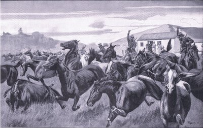 Búrok portyáznak a braamfonteini Remount Depotban, a Harmsworth Bros Limited által kiadott After Pretoria: The Guerilla War című filmből, 1901 alkotó: J. H. Thornely