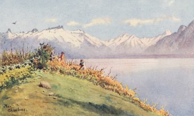 A Rhone-völgy Chexbres-től (színes litográfia) alkotó: J. Hardwicke Lewis