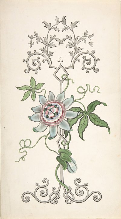 Paneldekoráció tervezése golgotavirággal, 1828-40. alkotó: J Hulme