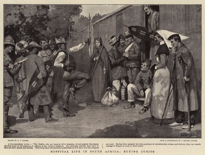 Kórházi élet Dél-Afrikában, Curios vásárlása alkotó: J. J. Waugh