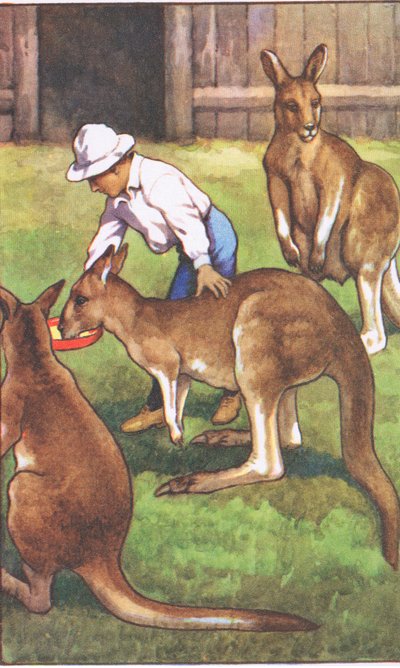 Ausztrál fiú, MacMillan iskolai plakátokról, 1950-60-as évek (színes litho) alkotó: J. Macfarlane