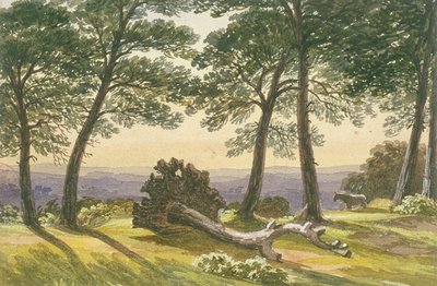 Hampstead Heath, London, 1830 alkotó: J Powell