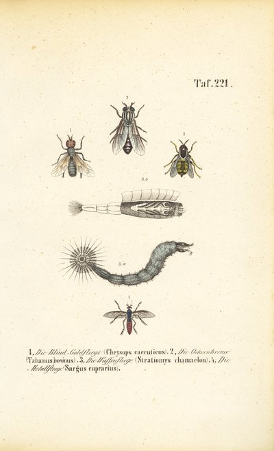  alkotó: J. W. Tenhaeff