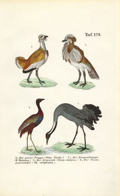  alkotó: J. W. Tenhaeff