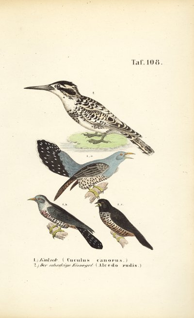 alkotó: J. W. Tenhaeff