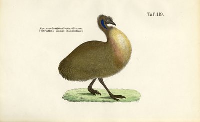  alkotó: J. W. Tenhaeff