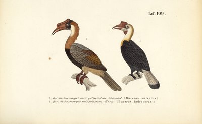  alkotó: J. W. Tenhaeff