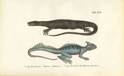  alkotó: J. W. Tenhaeff