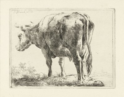 álló tehén alkotó: Jabes Heenck