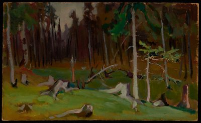 Erdőtisztás alkotó: Jacek Malczewski