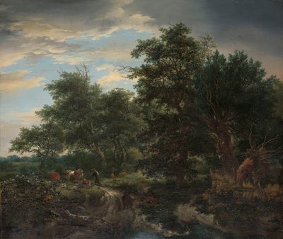 Erdei jelenet alkotó: Jacob van Ruisdael