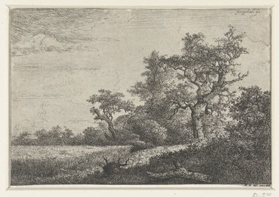 A kukoricatábla alkotó: Jacob van Ruisdael