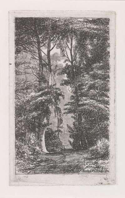 Boslaan alkotó: Jacob Jan van der Maaten