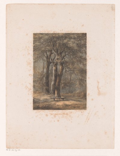 Jacoba pavilon A Jakoba pavilon (cím a tárgyon) alkotó: Jacob Jan van der Maaten