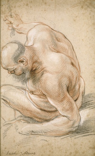 Meztelen öregember ül, alkarjára támaszkodva, balra néz, 1640 körül alkotó: Jacob Jordaens