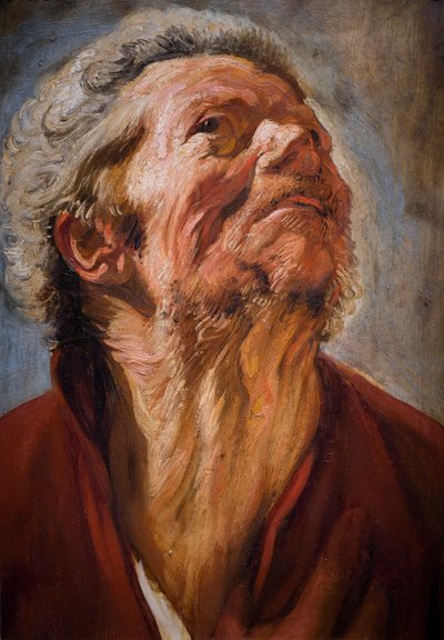 Tanulmányi vezető alkotó: Jacob Jordaens