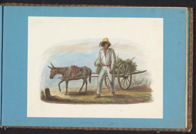 Férfi kosár banánnal Album Suriname rajzaival, 44. o. (50) (sorozat címe) alkotó: Jacob Marius Adriaan Martini van Geffen