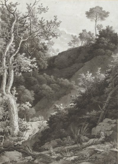 Erdős hegyoldal alkotó: Jacob Philipp Hackert