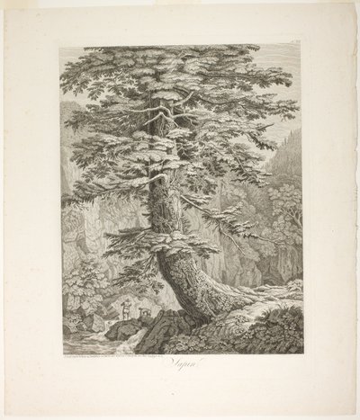 Fenyőfa alkotó: Jacob Philipp Hackert