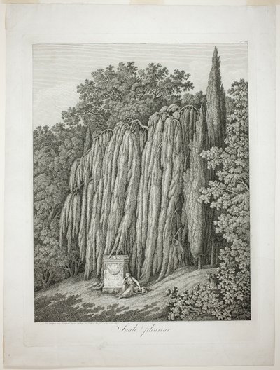 Szomorúfűz alkotó: Jacob Philipp Hackert