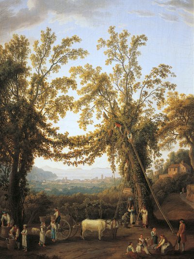 Ősz, betakarítás Sorrento közelében (olaj, vászon) alkotó: Jacob Philippe Hackert