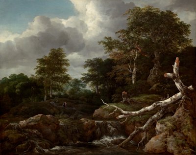 Erdei jelenet alkotó: Jacob van Ruisdael