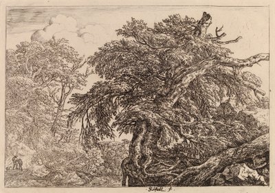  alkotó: Jacob van Ruisdael