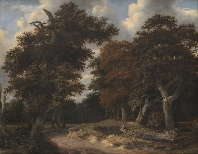 Út egy tölgyerdőn keresztül alkotó: Jacob van Ruisdael