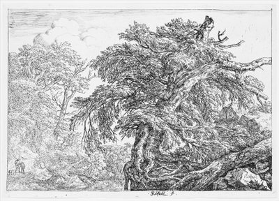  alkotó: Jacob van Ruisdael