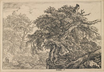  alkotó: Jacob van Ruisdael
