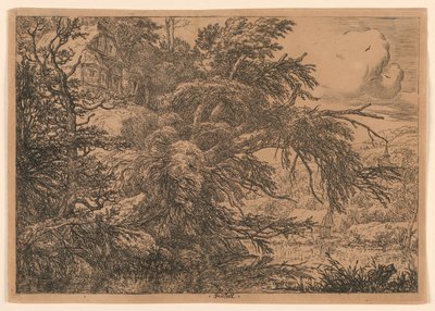 A nádfedeles kunyhó a hegyen alkotó: Jacob van Ruisdael