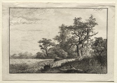 A Búzamező alkotó: Jacob van Ruisdael