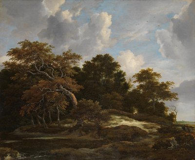  alkotó: Jacob van Ruisdael