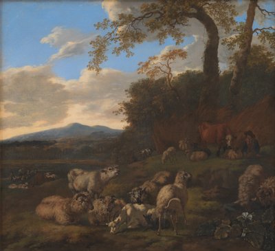 A juhnyáj alkotó: Jacob van der Does d.Æ.