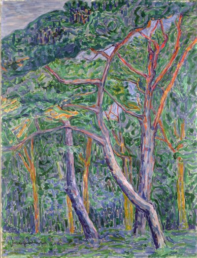 Fenyőfák alkotó: Jacoba van Heemskerck