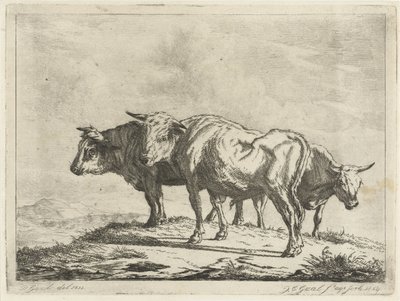 Három ökör alkotó: Jacobus Cornelis Gaal