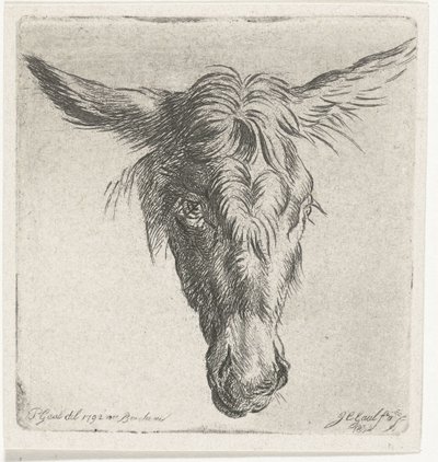 Egy szamár feje alkotó: Jacobus Cornelis Gaal