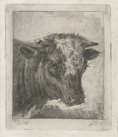 Fehér galléros tehén feje alkotó: Jacobus Cornelis Gaal