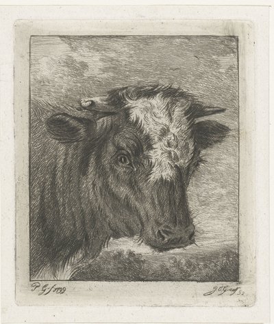 Fehér galléros tehén feje alkotó: Jacobus Cornelis Gaal