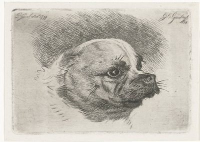 Egy mopsz feje alkotó: Jacobus Cornelis Gaal
