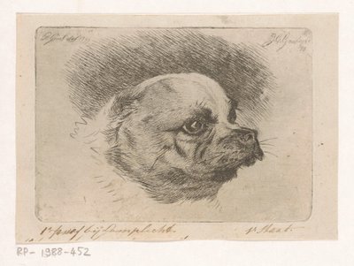 Egy mopsz feje alkotó: Jacobus Cornelis Gaal