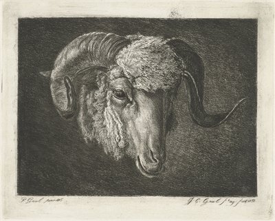 Egy görbe szarvú kos feje alkotó: Jacobus Cornelis Gaal