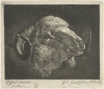 Visszafordított szarvú kos feje alkotó: Jacobus Cornelis Gaal