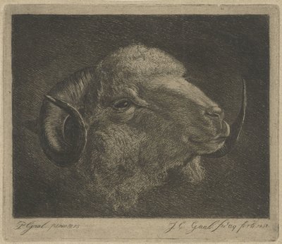 Visszafordított szarvú kos feje alkotó: Jacobus Cornelis Gaal