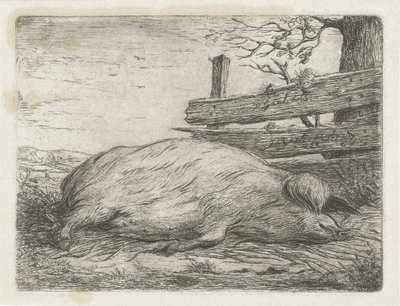 Fekvő vaddisznó alkotó: Jacobus Cornelis Gaal