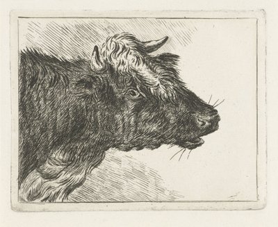 Ordító ökör alkotó: Jacobus Cornelis Gaal