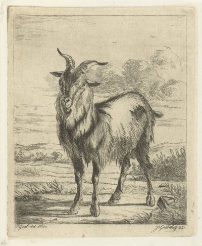 álló kecske alkotó: Jacobus Cornelis Gaal