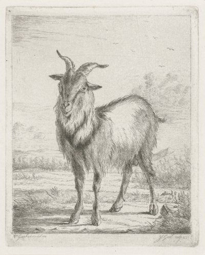 álló kecske alkotó: Jacobus Cornelis Gaal