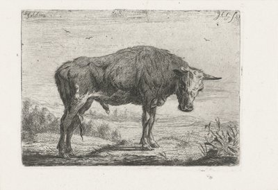 álló bika alkotó: Jacobus Cornelis Gaal
